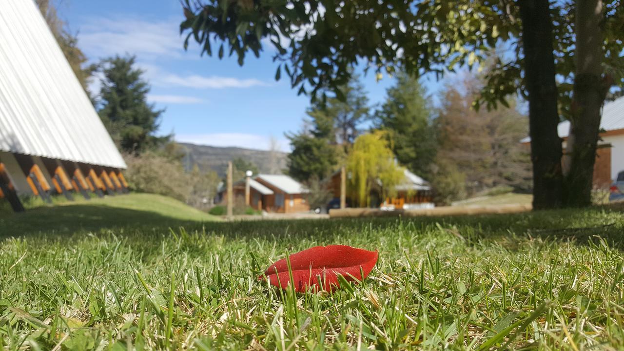Villa Complejo La Cautiva à Esquel Extérieur photo