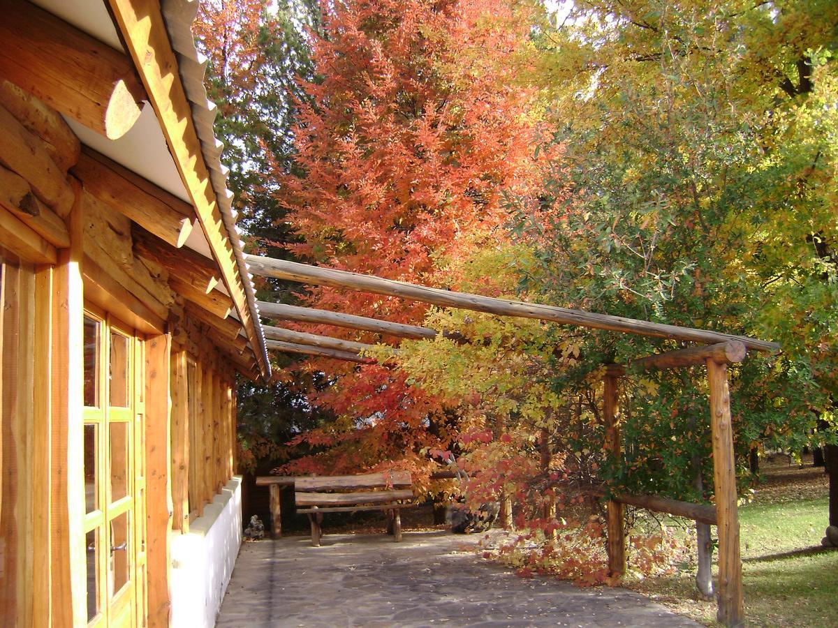 Villa Complejo La Cautiva à Esquel Extérieur photo